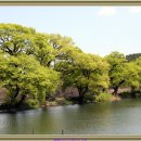 프로방스 레스토랑 이미지