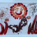 햇살내리는유치원 이미지