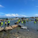 주전어촌체험마을 이미지