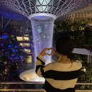 [해외/싱가포르] 나혼자 싱가포르 여행 #3 (<b>앙투</b>레 누스 크레페/ 선텍시티 해리앤스노냐 테이블...