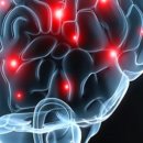 제이뷰짐 이미지