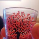 꼬치피다 이미지