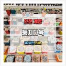 둥지농장 | 둥지다육에서 찾은 나만의 다육이 인천 계양구 식물 쇼핑 후기