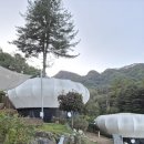 온더락캠핑장 | 서울근교 가평 글램핑 숙소 온더락 숙박 가격 모닥불 후기