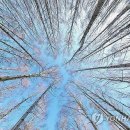 인제14-1 이미지