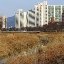 법동교차로 이미지