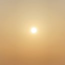 제주애락 이미지