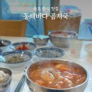 동해곰치 | 묵호 동해바다 곰치국 먹어본 후기 자연산 맛집 백반기행