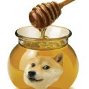 (HUB)허브원격평생교육원