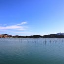 완도 고금도 지석묘군 이미지