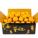 제주달다 이미지