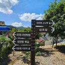 제116차 정기산행(대관령 옛길) 이미지