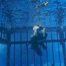 NOL ZOO | 아이와 두바이 여행 준비 - 두바이몰 아쿠아리움 플래티넘 티켓 예약 가격 그리고 운영시간(입장시간...