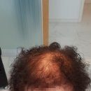 제천가발 이미지