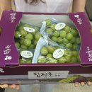 부여축산농협본점 이미지