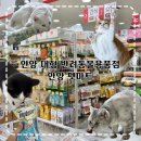 안양펫애견용품할인마트