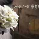 케이트잉글리쉬가든