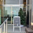 소금&설탕 | 계룡 카페, 소금 상주견 소금이·설탕이와 힐링되는 시그니처 음료 내돈내산 후기