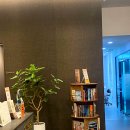 서울서이치과의원 이미지