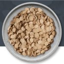 퍼펙트 P.T | 🐶 강아지 눈물 냄새·변 냄새 줄이는데 흰둥이가 계속 먹고 있는 닥터독 연어 사료 후기