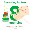 임신후기 29~32주차 증상(8개월차), 임신 후기 고통의 시작, 아기용품 준비, 환갑여행, 자격증공부 등 일상