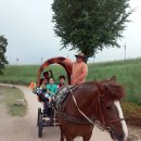 영원초등학교 이미지