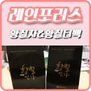 레인포러스