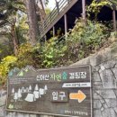(주)신어산 자연숲캠핑장 이미지