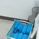 아르멍미르멍 | 비오는날 강아지랑 가기좋은 구리 실내애견카페, 아르멍미르멍
