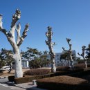 이리남중학교 이미지