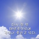 [태양광산업] 태양을 향해 비상할까? 이미지