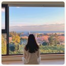 콴도제주 | 제주도 서귀포 뷰 좋은 통유리 남부 숙소 콴도제주