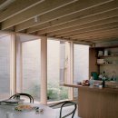 물의 기억 이미지