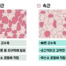 김현제PT 이미지