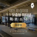 페르소나 피티샵 이미지