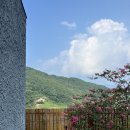 오우재 | 오우재 : 거제 감성숙소 내돈내산 후기(바베큐, 수영장, 독채, 주차 등)