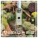 향이머무는하루 이미지
