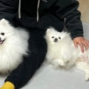 더벤티 평택청북점 이미지