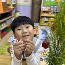 [가드닝] 율마 트리 꾸미기🎄 이미지