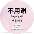 씨에씨에 이미지
