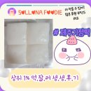 제주 기정떡