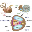 운동재활트레이닝 이미지