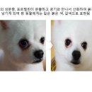 (주)메디푸드글로벌 이미지