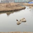 대월체육시설 이미지