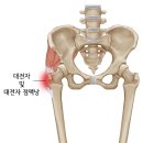 강변정형외과의원 이미지