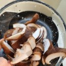 보들농장 이미지