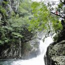 울산일보 이미지