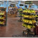미국 트레이더 조(Trader Joe's) 쇼핑 리스트 내돈내산 후기 | 사야 할 것 &amp; 절대 후회하는 것