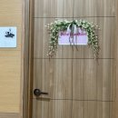 수성 1로 | 김혜정 산후조리원 수성점 1일차 후기