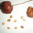 춘양카센타 이미지